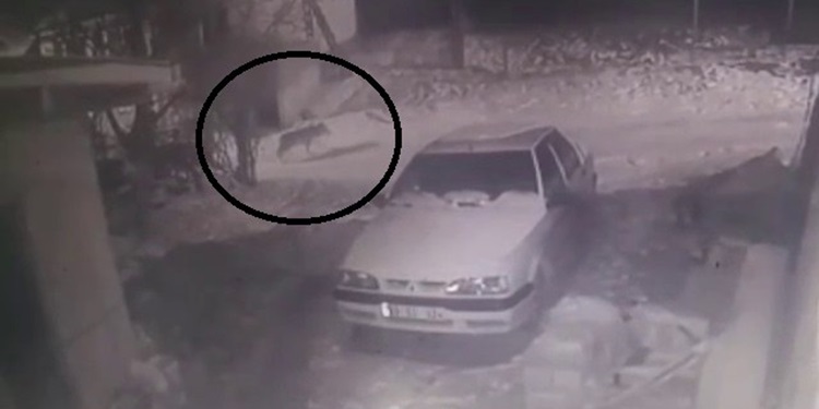 Aç Kalan Kurt Köye İndi
