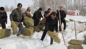 Yaban Hayvanları İçin Doğaya 1 Ton Yem Bırakıldı