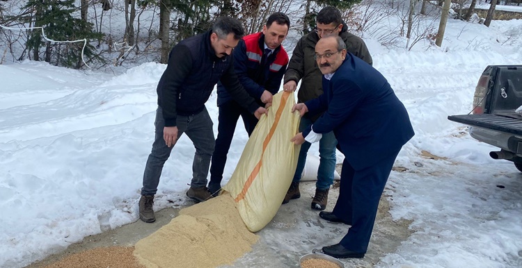Kargı’da, Doğaya Yem Bırakıldı