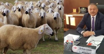 Projede 3. Etap Müracaatları Başlıyor