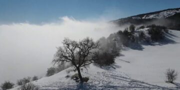 Sis, Güneş ve Yeşilin Ahenkle Dansı