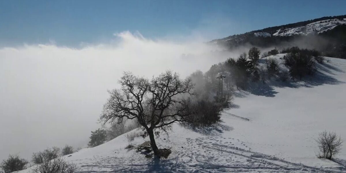 Sis, Güneş ve Yeşilin Ahenkle Dansı