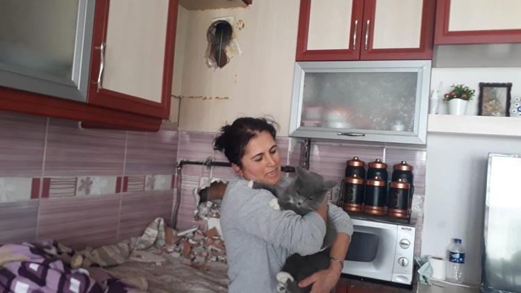 Bacaya Sıkışan Kediyi İtfaiye Ekipleri Kurtardı