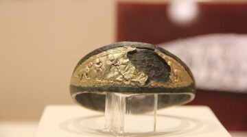 Tarlada Bulundu, Dünyada Eşi Yok