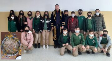 Öğrenciler Çiğdem Aşı Geleneğini Sürdürdü