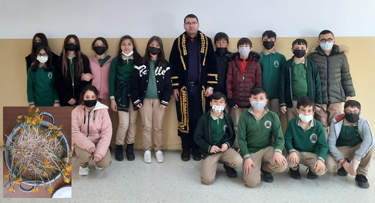 Öğrenciler Çiğdem Aşı Geleneğini Sürdürdü