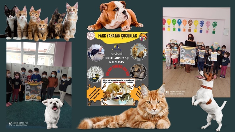 Bu Proje İle Minikler Sevimli Dostları Aç Bırakmadı