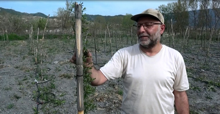 Yurt Dışında Gördüğü Meyveyi Yetiştirmeye Başladı