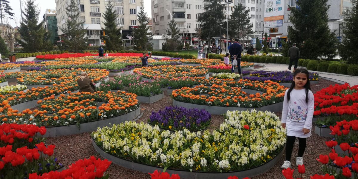 Şehri Rengârenk Çiçeklerle Donattı