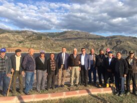 Gölete Umutlandılar, Fidanlar Kurudu