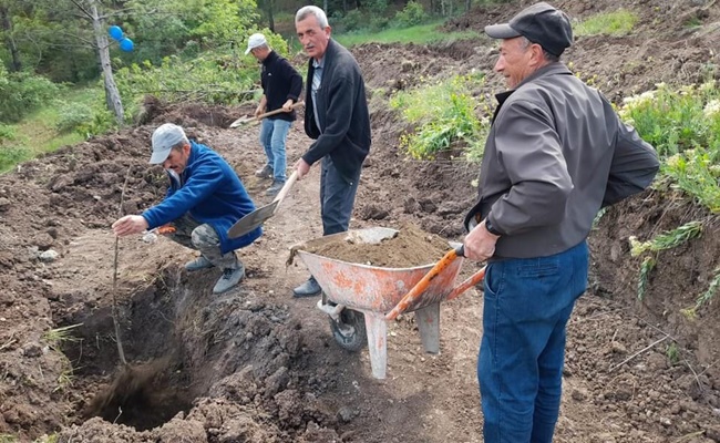 Atatürk Orman Çiftliği Ağaçlandırıldı