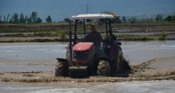 ‘Beyaz Altın’ın Sofralara Uzanan Yolculuğu Başladı