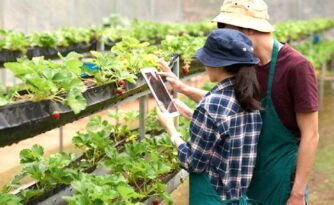 Çorum’da Tamamına Hibe Çıktı