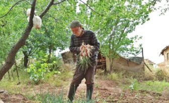 Gençlere Taş Çıkartıyor