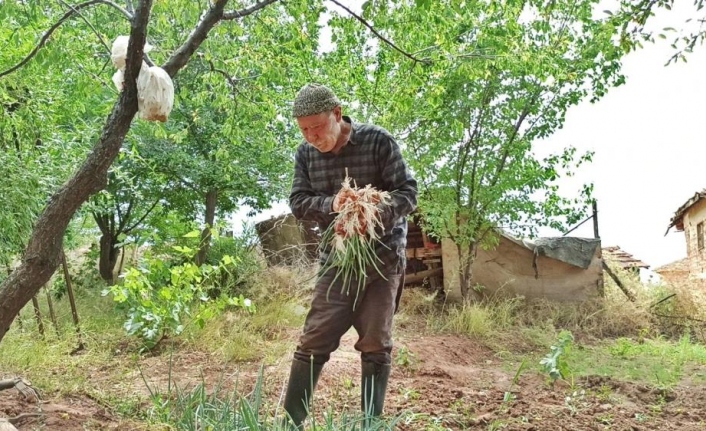 Gençlere Taş Çıkartıyor