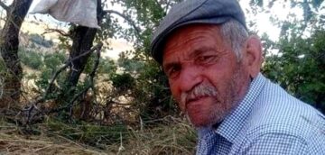 Çorum’da Kene Can Aldı