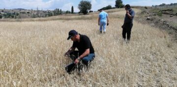 Osmancık’ta Dolu Yağışı Tarım Arazilerine Zarar Verdi