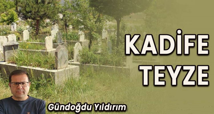 Köşe Yazısı / Kadife Teyze