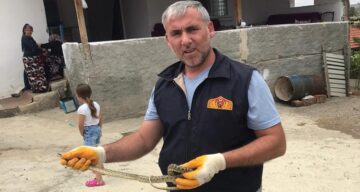 Eve Giren Yılanı İtfaiye Ekipleri Yakaladı