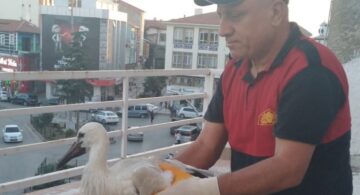 Leyleğin İmdadına İtfaiye Ekipleri Yetişti