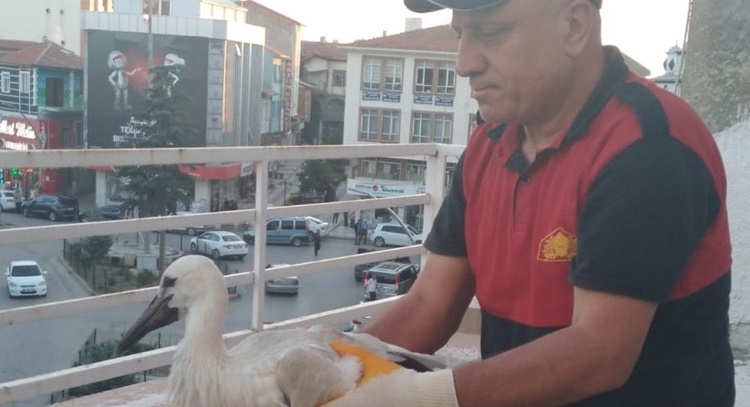 Leyleğin İmdadına İtfaiye Ekipleri Yetişti