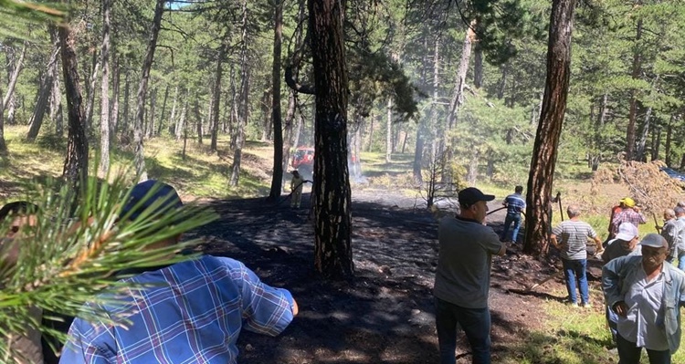 Osmancık’ta Orman Yangını