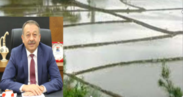 Sarı, Çeltik Üreticilerini Uyardı