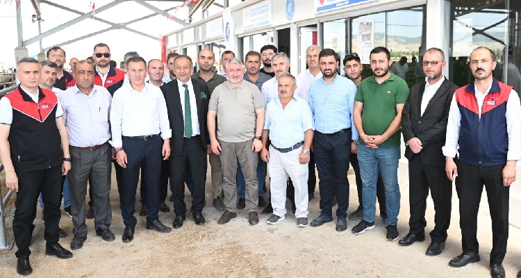 Hayvan Pazarında Danışma Ofisleri Hizmete Başladı