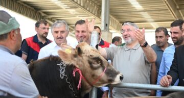 Başkan Aşgın’dan Hayvan Pazarına Ziyaret