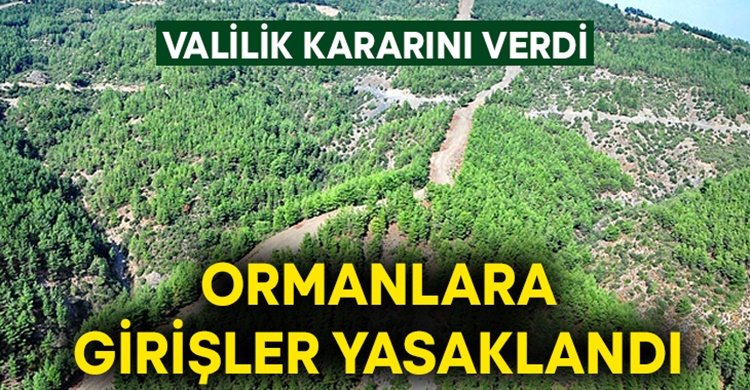 Çorum’da Ormanlık Alanlara Girişler Yasaklandı