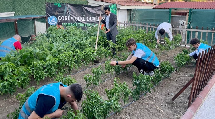 Ülkücüler Üretmeye Devam Ediyor