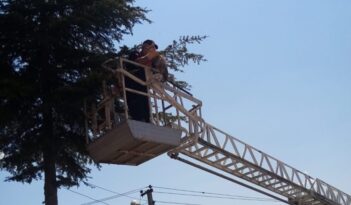 Çıktığı Ağaçtan İnemeyen Kediyi İtfaiye Kurtardı