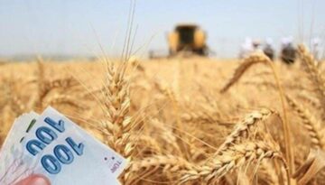 Buğday ve Arpaya TMO Alım Prim Desteği Verilecek