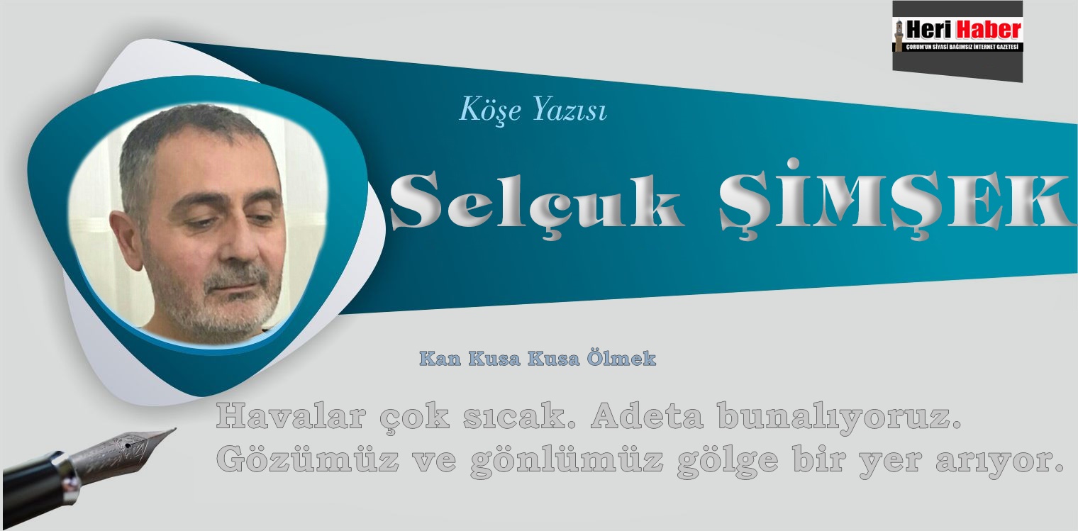 Köşe Yazısı / Kan Kusa Kusa Ölmek