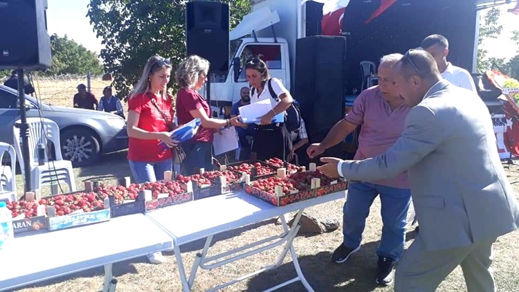 Şeyh Köyünde Armut ve Çilek Festivali