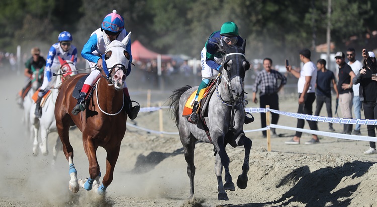 Pırlanta Pirinç Festivali’nde At Yarışları Nefes Kesti