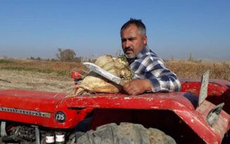 Köy Muhtarı Tarlada Vurulmuş Halde Bulundu