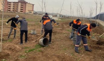 Sungurlu’da 500 Ağaç Toprakla Buluştu