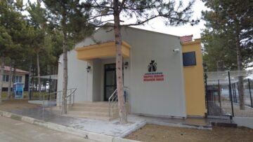 Kedi Evi, Sokak Kedilerine Yuva Oldu