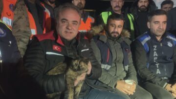 “Enkaz” Kedi Yeni Yuvasında