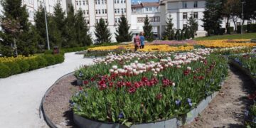 Belediye, Daha Yeşil Bir Çorum İçin Çalışıyor