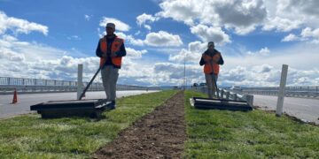 Belediye, Akşemseddin Bulvarını Yeşillendiriyor