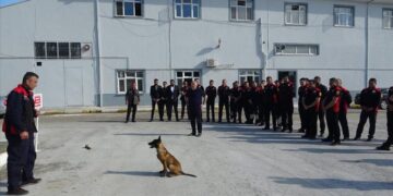 Belediye Arama Kurtarma Köpeği Yetiştiriyor