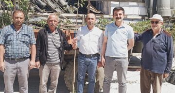 Laçin’de Üreticilere Trabzon Hurması Fidanı Dağıtıldı