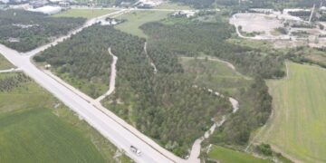 Bahabey Çamlığı, Eko-Turizm Alanı Oluyor