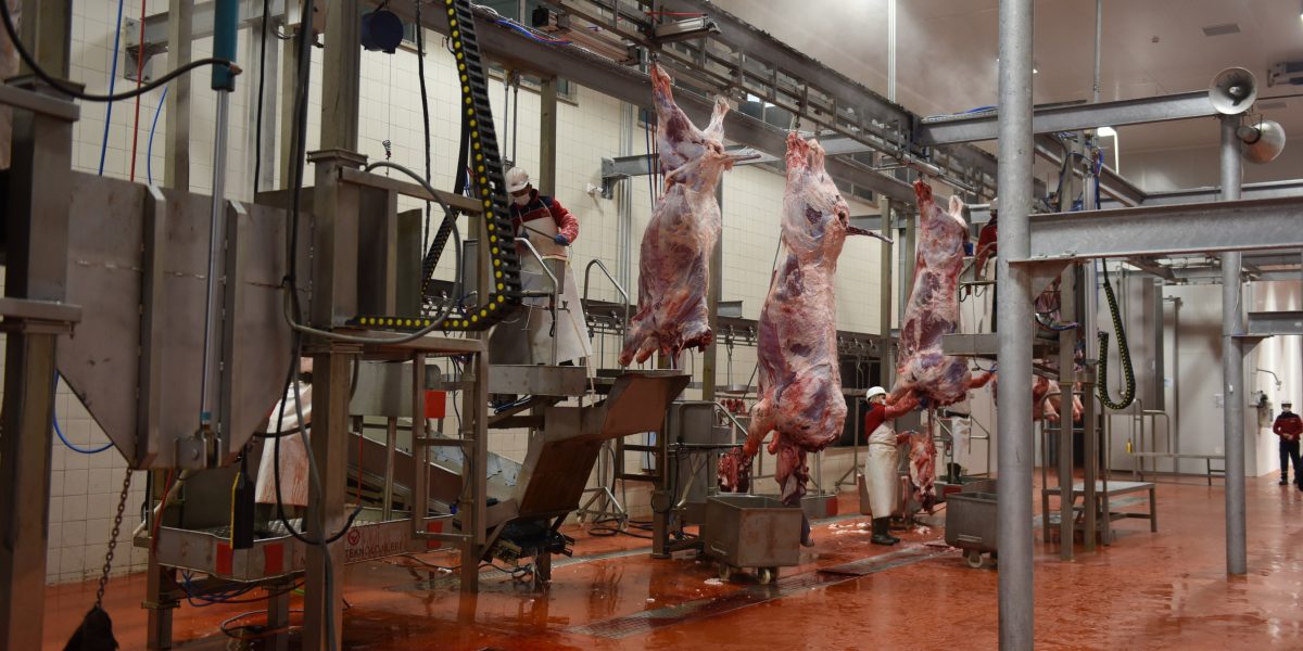 Kurban Kesim Yerleri Belirlendi