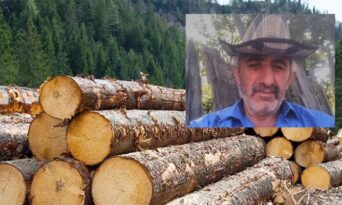 Kamyon Kasasından Düştü!