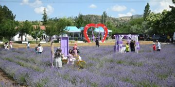 Haftasonu Lavanta Bahçesi’ne