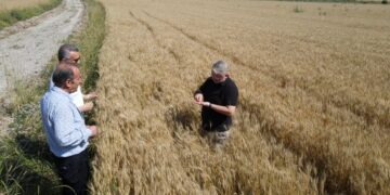Çorum Belediyesi Üretmeye Devam Ediyor