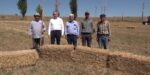 Çorum Belediyesi’nden Hayvancılığa Destek